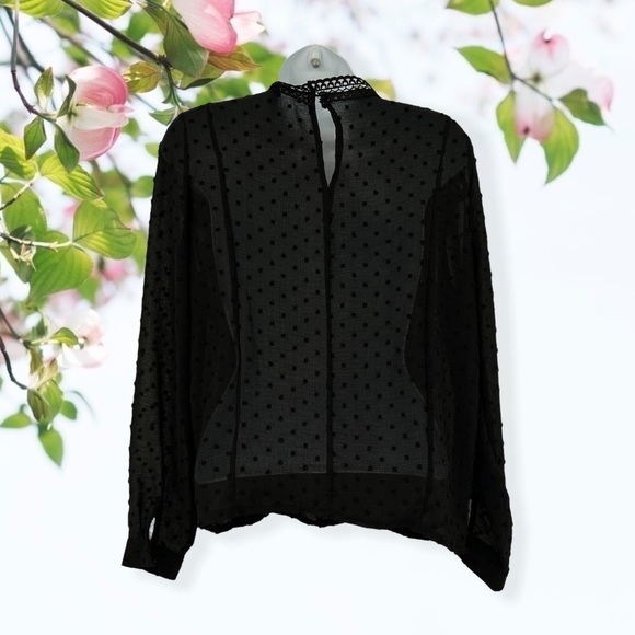 Sheer Blouse Long Sleeves - Picture 2 of 4